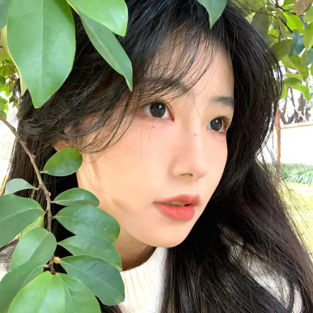 青春的忏悔